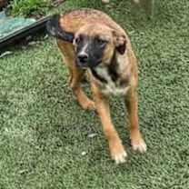 Thumbnail photo of Denim #4