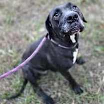 Thumbnail photo of Beauty #1