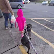 Thumbnail photo of Beauty #3