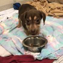 Thumbnail photo of Jelly #2