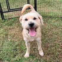 Thumbnail photo of Megan #1