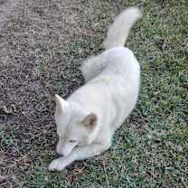 Thumbnail photo of Macy #2