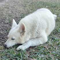 Thumbnail photo of Macy #3