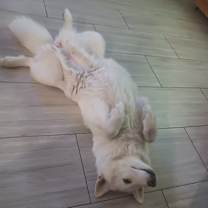 Thumbnail photo of Macy #4