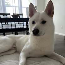 Thumbnail photo of Blue #2