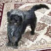 Thumbnail photo of Bubbles #4