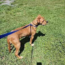 Thumbnail photo of Buster #4