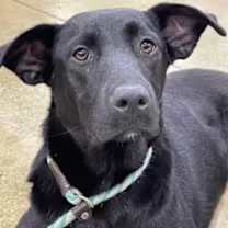 Thumbnail photo of Sally #1