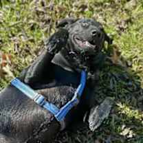 Thumbnail photo of Zeek #3