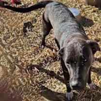 Thumbnail photo of Corina #3