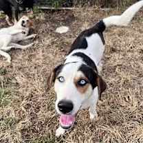 Thumbnail photo of Tony #1