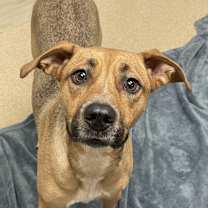 Thumbnail photo of Stella #3