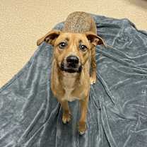 Thumbnail photo of Stella #4