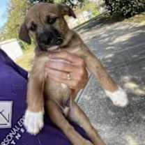 Thumbnail photo of Linguine #2