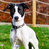 Thumbnail photo of Snow White #2