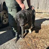 Thumbnail photo of Cherokee #2