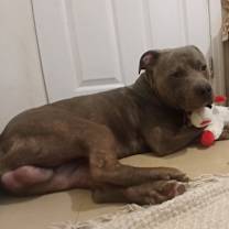 Thumbnail photo of Spike #1