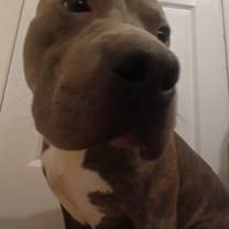 Thumbnail photo of Spike #2