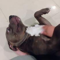 Thumbnail photo of Spike #4