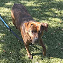 Thumbnail photo of Merry #3