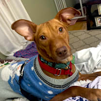 Thumbnail photo of Jessi #3