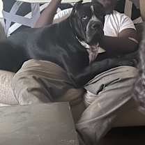 Thumbnail photo of Odin #1