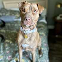 Thumbnail photo of Coco #1