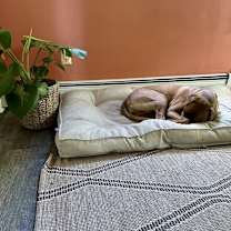 Thumbnail photo of Coco #2