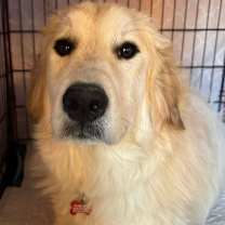 Thumbnail photo of John McClane #1