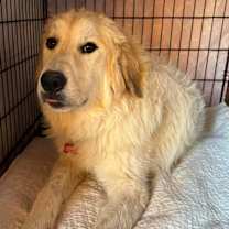 Thumbnail photo of John McClane #2