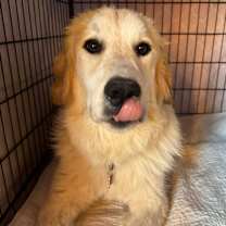 Thumbnail photo of John McClane #3