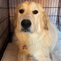 Thumbnail photo of John McClane #4