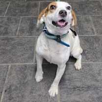 Thumbnail photo of Merry #1