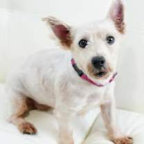 Thumbnail photo of Chels #1