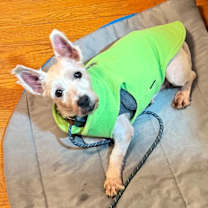 Thumbnail photo of Chels #2