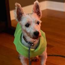 Thumbnail photo of Chels #3