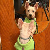 Thumbnail photo of Chels #4