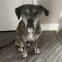 Thumbnail photo of Sunny #1