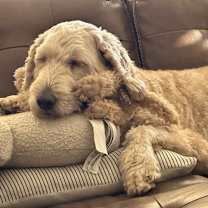 Thumbnail photo of Marty #1