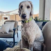 Thumbnail photo of Marty #2