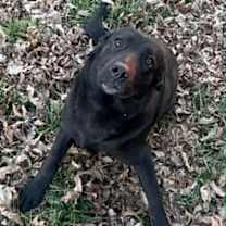 Thumbnail photo of Lila #2