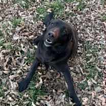 Thumbnail photo of Lila #3