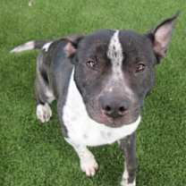 Thumbnail photo of Mason #3