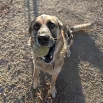 Thumbnail photo of Taylor #2