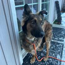 Thumbnail photo of Zeke #1