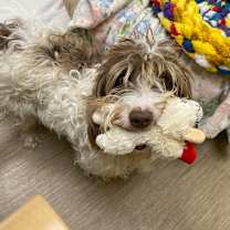 Thumbnail photo of Charleigh  #2