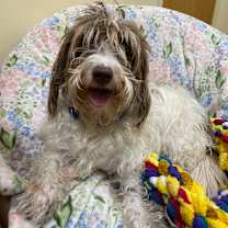 Thumbnail photo of Charleigh  #3