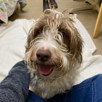 Thumbnail photo of Charleigh  #4