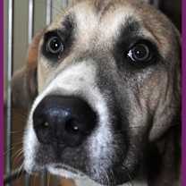 Thumbnail photo of Taylor #1