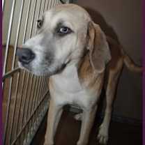 Thumbnail photo of Taylor #2